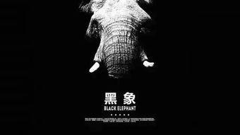 黑象视频,一场视觉与心理的震撼之旅