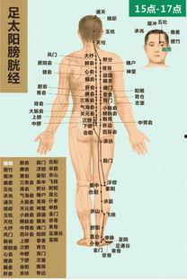 十二经络养生视频,揭秘人体健康密码