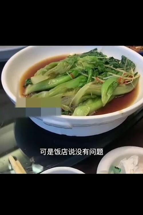 菜视频,轻松掌握烹饪技巧,美食制作一网打尽