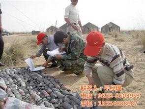 物探王视频,探秘地球深处的奥秘之旅