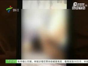 桃色在线观看视频,揭秘网络视频背后的秘密世界