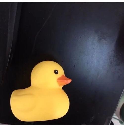 搞笑小黄鸭视频