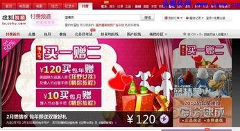 搜狐视频包月,搜狐视频包月带你领略海量精彩内容