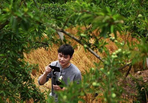 李栽培视频,揭秘农业创新与绿色发展的奥秘