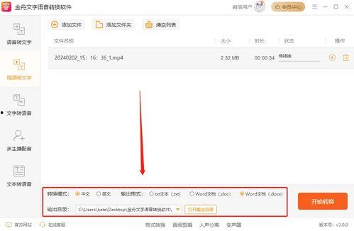 视频转文字,一窥视频背后的精彩瞬间