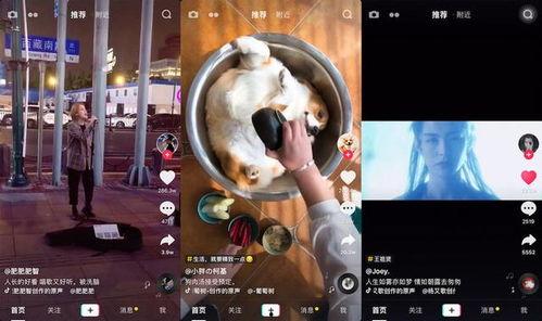 小鸿视频